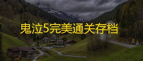 暗区物资透视挂,免费版鬼泣5完美通关存档